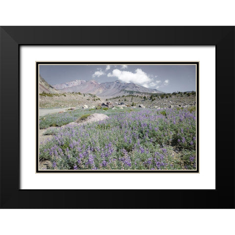 Shasta Majesty II Black Modern Wood Framed Art Print with Double Matting by Geyman, Vitaly