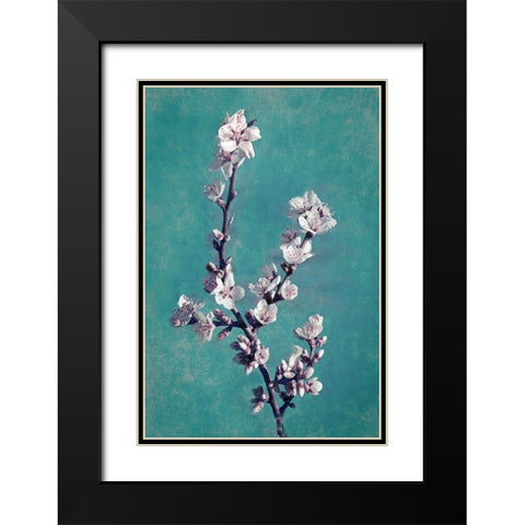 Spring Blossoms on Teal Black Modern Wood Framed Art Print with Double Matting by Geyman, Vitaly