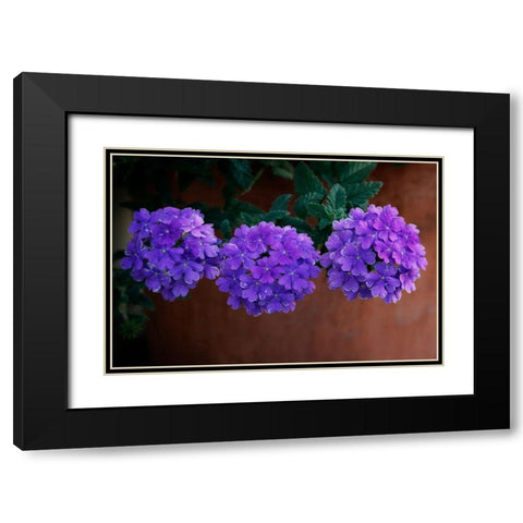 Tri Floral Bouquet Black Modern Wood Framed Art Print with Double Matting by Geyman, Vitaly