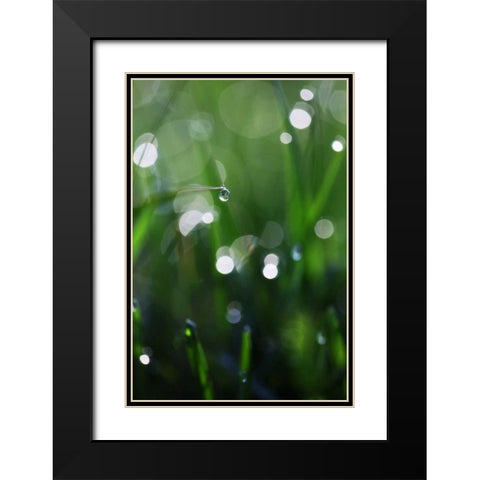 Dew Drops V Black Modern Wood Framed Art Print with Double Matting by White, Leesa