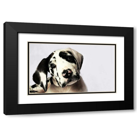 Grace I Black Modern Wood Framed Art Print with Double Matting by White, Leesa