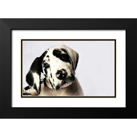 Grace I Black Modern Wood Framed Art Print with Double Matting by White, Leesa