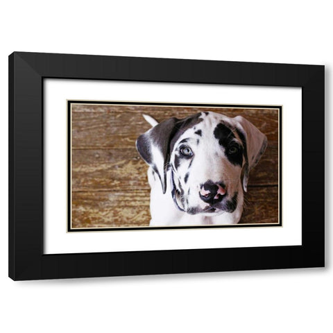 Grace II Black Modern Wood Framed Art Print with Double Matting by White, Leesa