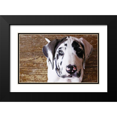 Grace II Black Modern Wood Framed Art Print with Double Matting by White, Leesa