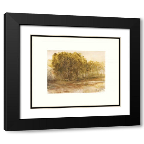 Three Lakes Cottonwoods Black Modern Wood Framed Art Print with Double Matting by Sheler, Sammy