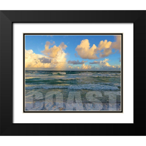 Florida Coast Black Modern Wood Framed Art Print with Double Matting by Williams, Todd