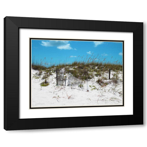 Sand Dunes II Black Modern Wood Framed Art Print with Double Matting by Williams, Todd