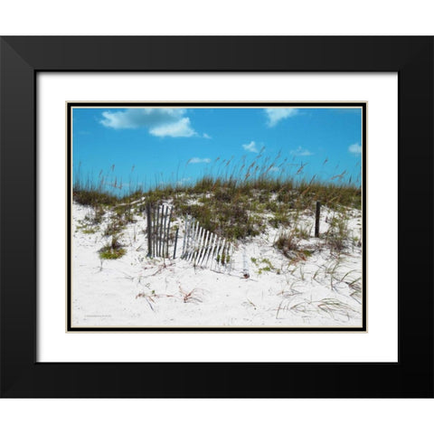 Sand Dunes II Black Modern Wood Framed Art Print with Double Matting by Williams, Todd