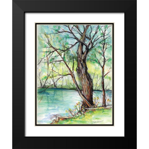 The Banks of Shoal Creek Black Modern Wood Framed Art Print with Double Matting by Williams, Todd