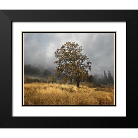 Field of Gold Black Modern Wood Framed Art Print with Double Matting by Geyman, Vitaly