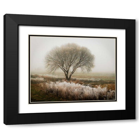 Tranquility I Black Modern Wood Framed Art Print with Double Matting by Geyman, Vitaly