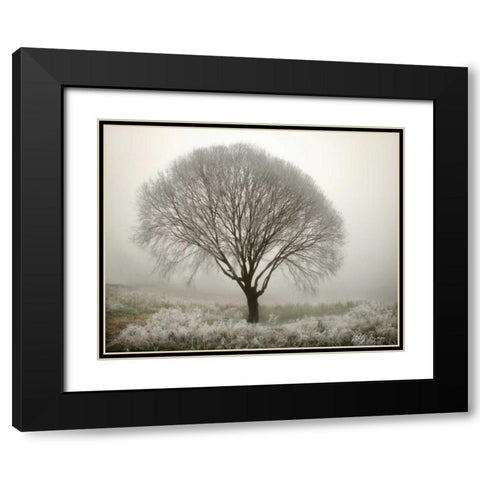 Tranquility II Black Modern Wood Framed Art Print with Double Matting by Geyman, Vitaly