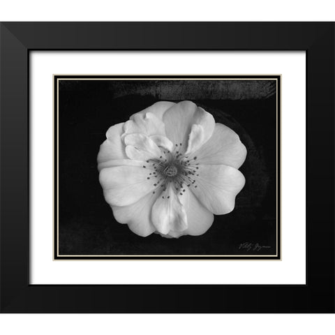 Classic Beauty Black Modern Wood Framed Art Print with Double Matting by Geyman, Vitaly