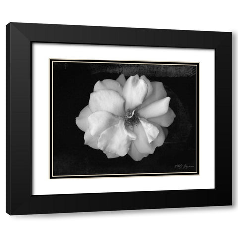 Wild Rose Black Modern Wood Framed Art Print with Double Matting by Geyman, Vitaly