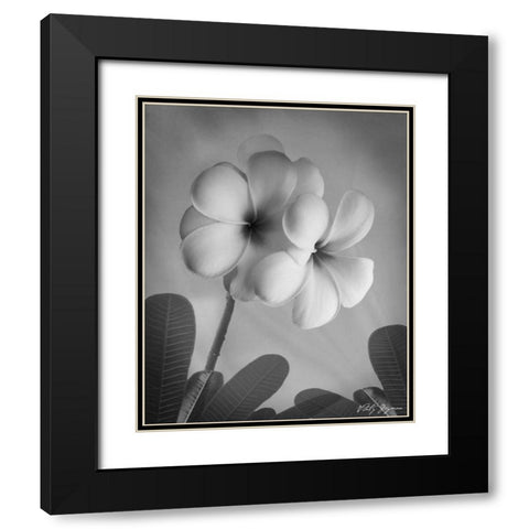 Plumeria I Black Modern Wood Framed Art Print with Double Matting by Geyman, Vitaly