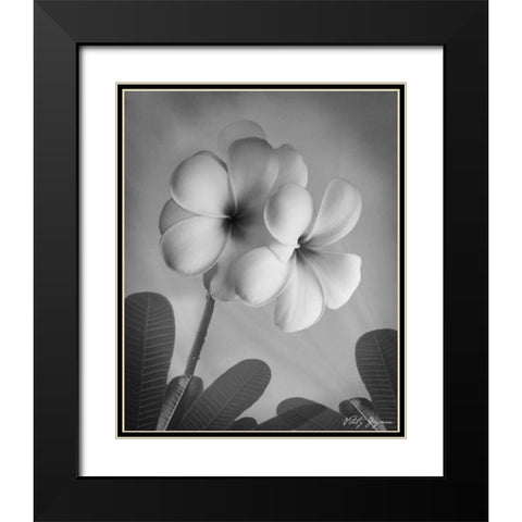 Plumeria I Black Modern Wood Framed Art Print with Double Matting by Geyman, Vitaly