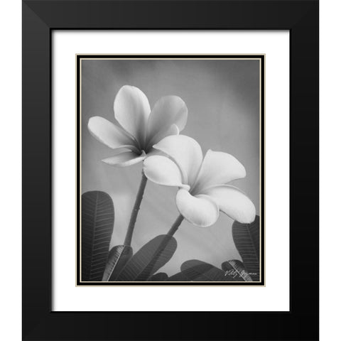 Plumeria II Black Modern Wood Framed Art Print with Double Matting by Geyman, Vitaly