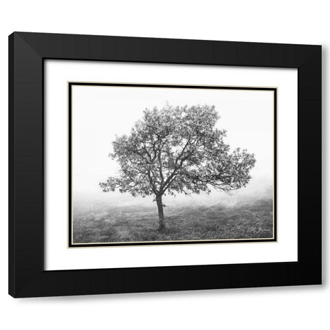 Burning Oak I Black Modern Wood Framed Art Print with Double Matting by Geyman, Vitaly