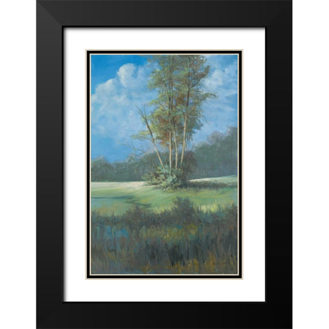 Azure Sky II Black Modern Wood Framed Art Print with Double Matting by Wacaster, Linda