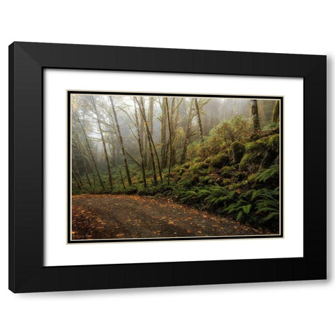 Rain Forest Black Modern Wood Framed Art Print with Double Matting by Head, Danny