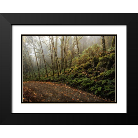 Rain Forest Black Modern Wood Framed Art Print with Double Matting by Head, Danny