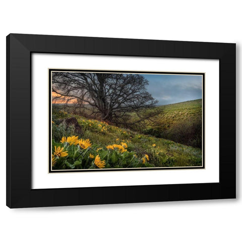 Hillside Oak Black Modern Wood Framed Art Print with Double Matting by Head, Danny