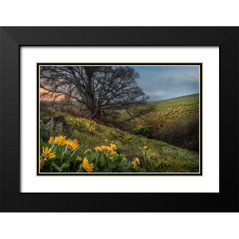 Hillside Oak Black Modern Wood Framed Art Print with Double Matting by Head, Danny