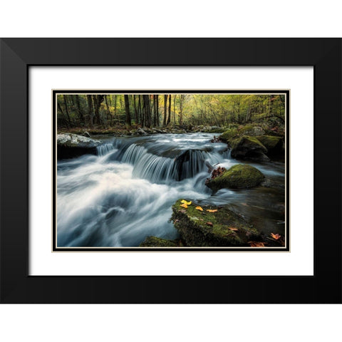 Last Light at Tremont Black Modern Wood Framed Art Print with Double Matting by Head, Danny