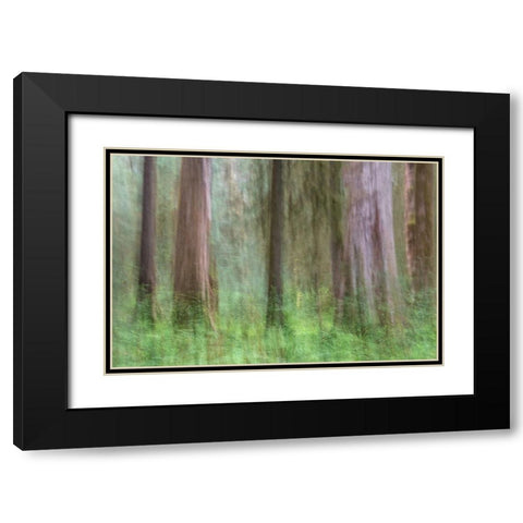 Woodland Abstract Black Modern Wood Framed Art Print with Double Matting by Head, Danny