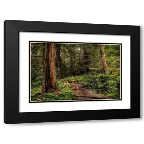 The Forest Calls Black Modern Wood Framed Art Print with Double Matting by Head, Danny