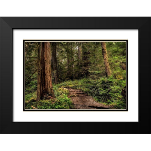 The Forest Calls Black Modern Wood Framed Art Print with Double Matting by Head, Danny