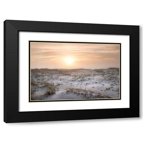 Six Birds Black Modern Wood Framed Art Print with Double Matting by Head, Danny