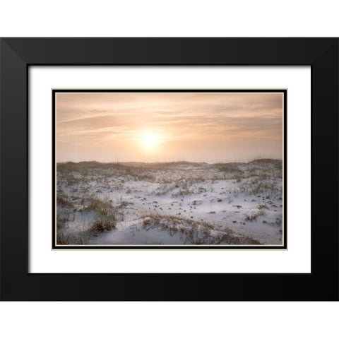 Six Birds Black Modern Wood Framed Art Print with Double Matting by Head, Danny