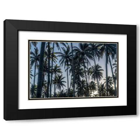 Palm Grove I Black Modern Wood Framed Art Print with Double Matting by Head, Danny