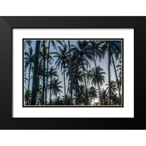 Palm Grove I Black Modern Wood Framed Art Print with Double Matting by Head, Danny