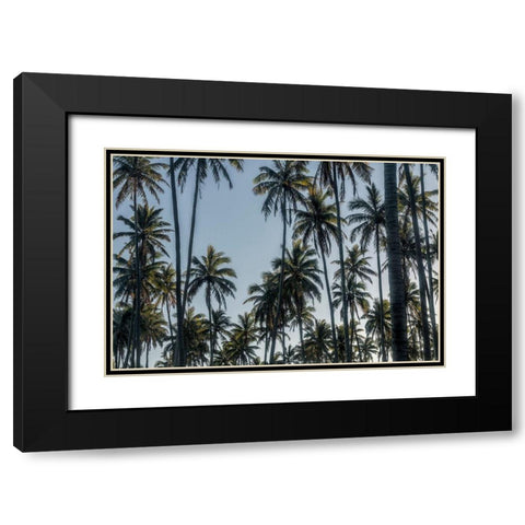 Palm Grove II Black Modern Wood Framed Art Print with Double Matting by Head, Danny
