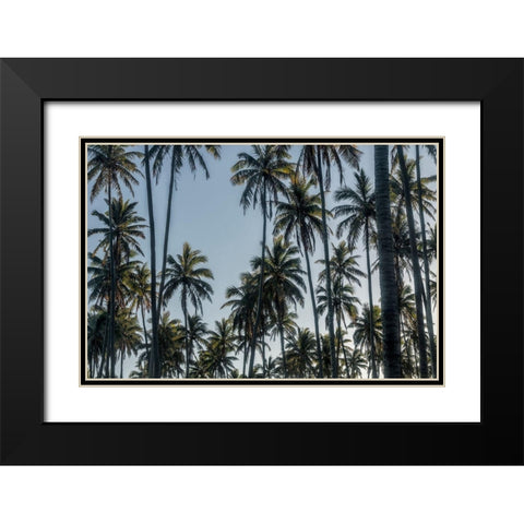 Palm Grove II Black Modern Wood Framed Art Print with Double Matting by Head, Danny