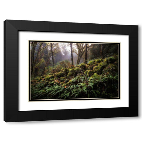 Fern Bank Black Modern Wood Framed Art Print with Double Matting by Head, Danny