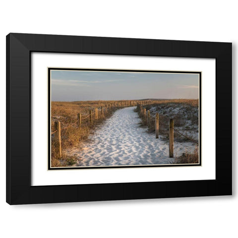 Beach Tracks Black Modern Wood Framed Art Print with Double Matting by Head, Danny