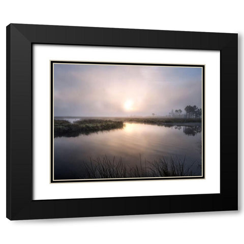 Fog on the Bayou Black Modern Wood Framed Art Print with Double Matting by Head, Danny
