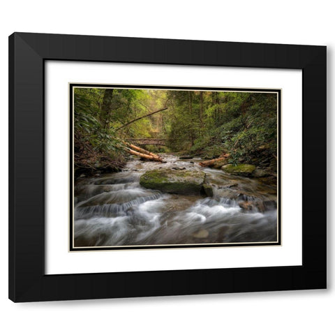 Spring Colors Black Modern Wood Framed Art Print with Double Matting by Head, Danny