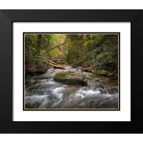 Spring Colors Black Modern Wood Framed Art Print with Double Matting by Head, Danny