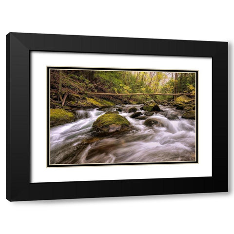 Running Free II Black Modern Wood Framed Art Print with Double Matting by Head, Danny