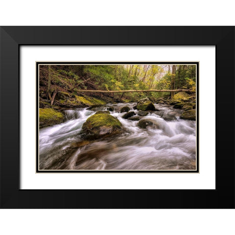 Running Free II Black Modern Wood Framed Art Print with Double Matting by Head, Danny