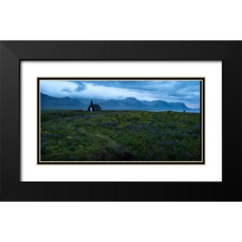 Wildflowers in Yellow and Blue Black Modern Wood Framed Art Print with Double Matting by Head, Danny