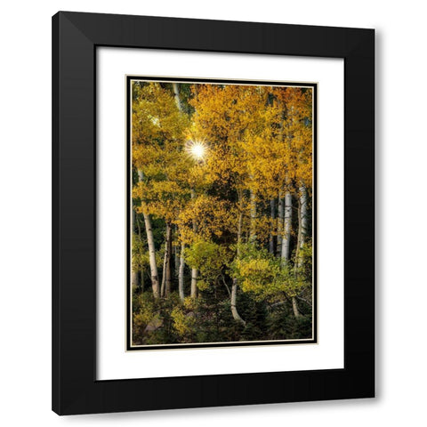 Peeking Through Black Modern Wood Framed Art Print with Double Matting by Head, Danny