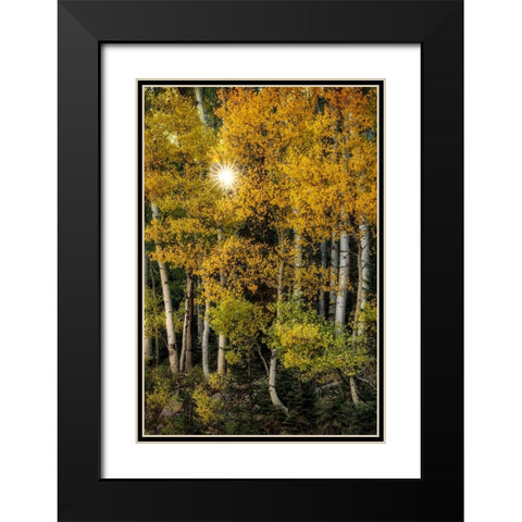 Peeking Through Black Modern Wood Framed Art Print with Double Matting by Head, Danny