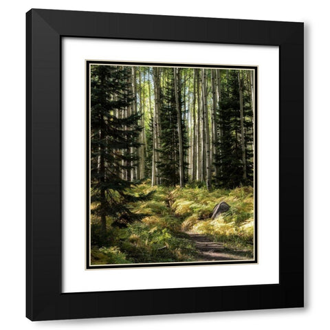 High Country Black Modern Wood Framed Art Print with Double Matting by Head, Danny