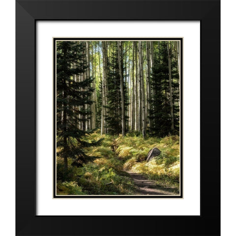 High Country Black Modern Wood Framed Art Print with Double Matting by Head, Danny