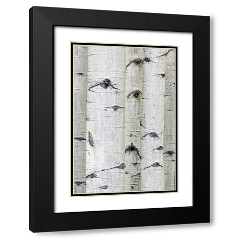 Aspen Eyes Black Modern Wood Framed Art Print with Double Matting by Head, Danny